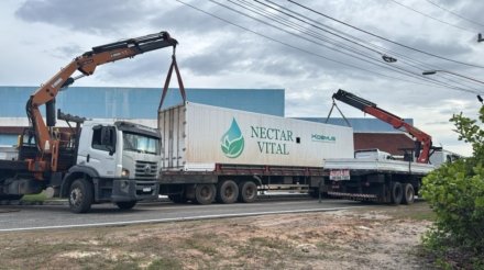 WhatsApp Image 2025-01-21 at 11.39.08